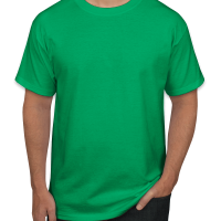 Hanes Authentic T-shirt
